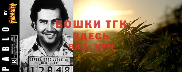ГАЛЛЮЦИНОГЕННЫЕ ГРИБЫ Пестово