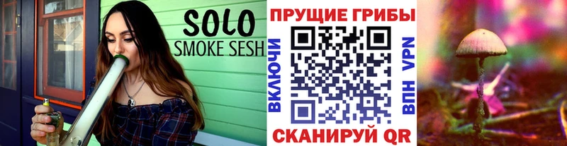 Псилоцибиновые грибы Cubensis  omg как войти  Зима 